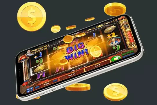 bet88